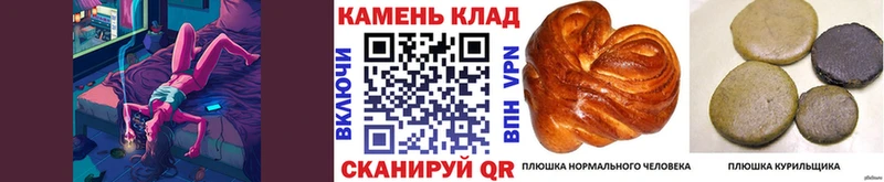 Купить наркотики сайты Киреевск Галлюциногенные грибы Меф Гашиш МАРИХУАНА COCAIN