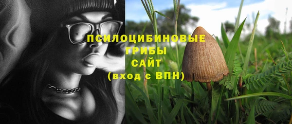 ГАЛЛЮЦИНОГЕННЫЕ ГРИБЫ Армянск