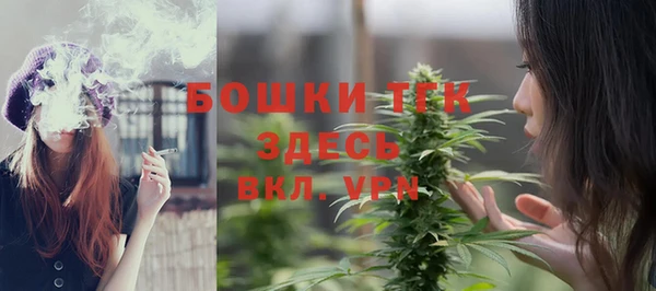 PSILOCYBIN Аркадак