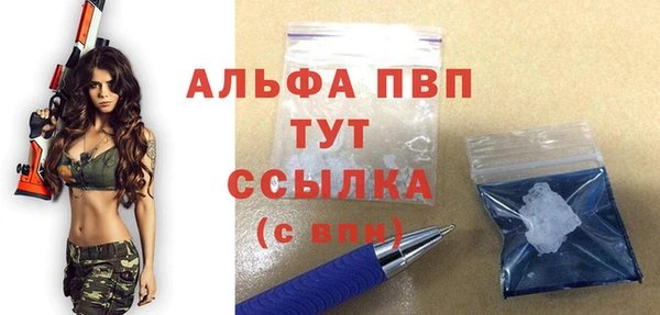 PSILOCYBIN Аркадак