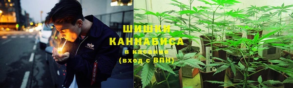 PSILOCYBIN Аркадак